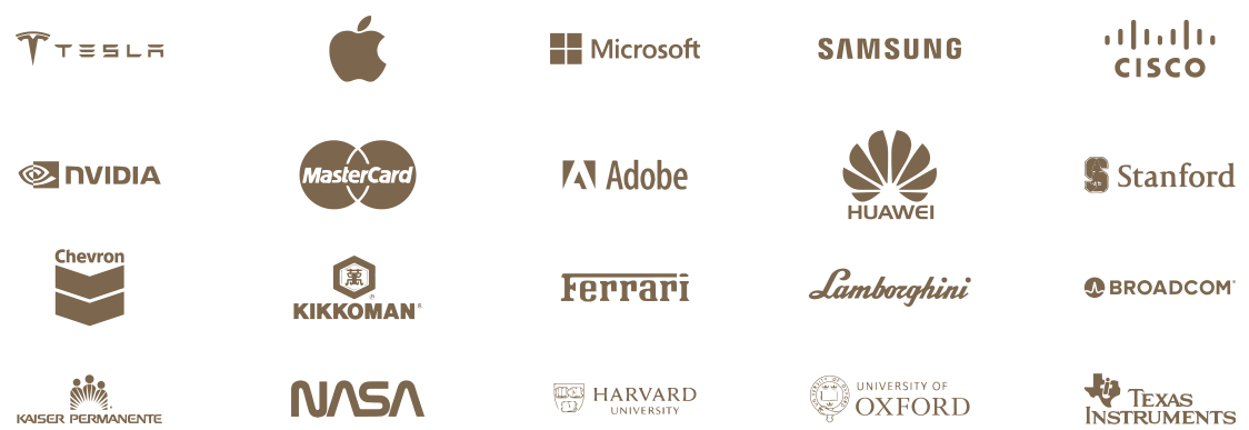Trusted by our clients