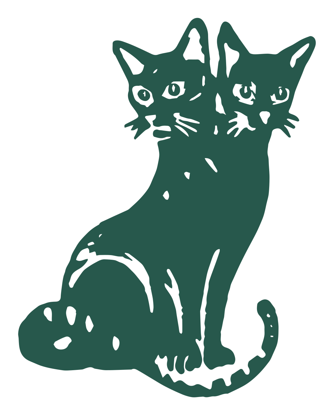 LARRY — the two-headed cat